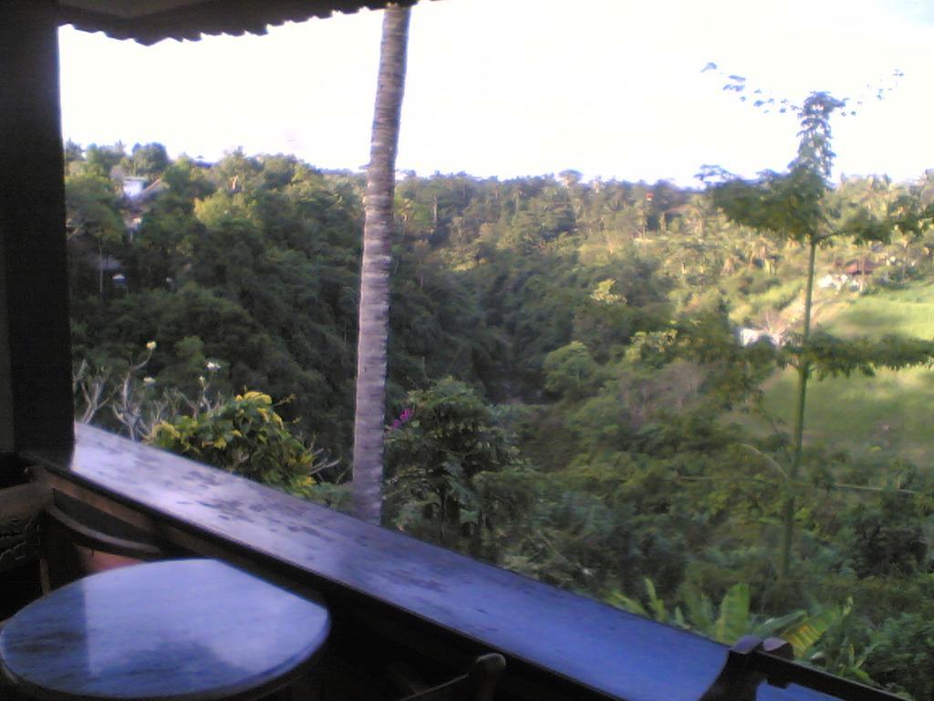 Sanggingan Villa Ubud Eksteriør billede